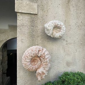 Malcesine - Lago di Garda
