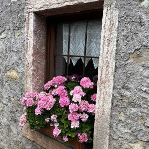 Agritur Calvola - Trentino