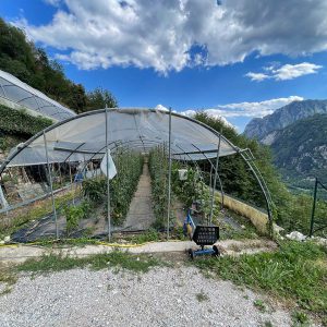 Agritur Calvola - Trentino