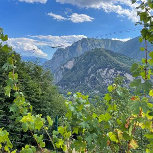 Agritur Calvola - Trentino