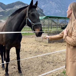 Outdoor - Reiten