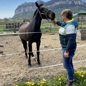 Outdoor - Reiten