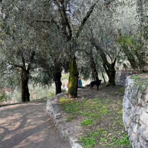 Arco - Trentino