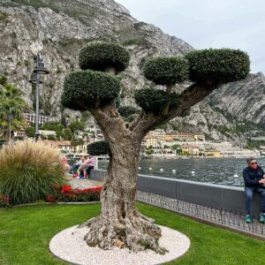 Limone sul Garda - Lago di Garda