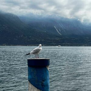 Limone sul Garda - Lago di Garda