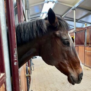 PratiSaiano - Reiten in Arco - Gardasee Holiday