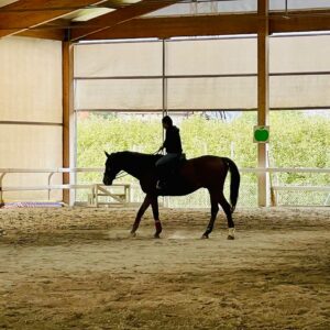 PratiSaiano - Reiten in Arco - Gardasee Holiday